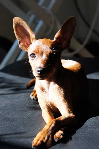 Undercover Girl vom Camp Achensee