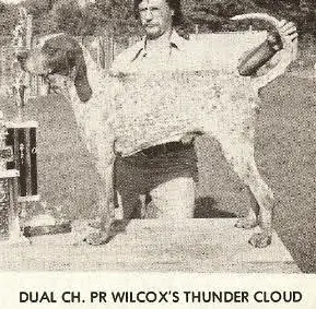 DUAL CH 'PR' Wilcox Thunder Cloud