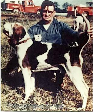 Shetler's Sonny Boy