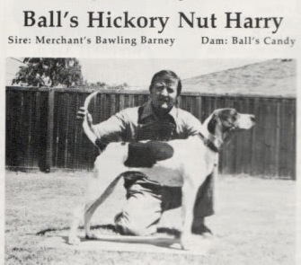 GRAND NIGHT CH Ball's Hickory Nut Harry