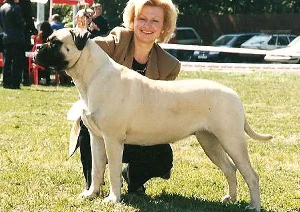 Deby Miracle Bulls