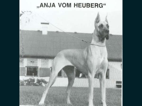 Anja Von Heuberg