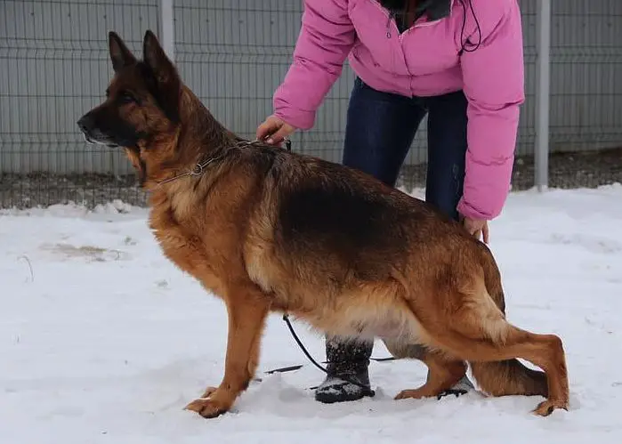 Uganda vom Drömlingsrand