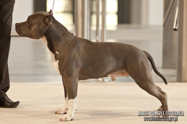 CH.PL. Hot Like Hell - HELLBOY