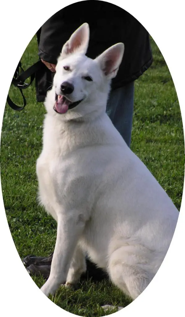 Bruma de la Plaine d`Alba