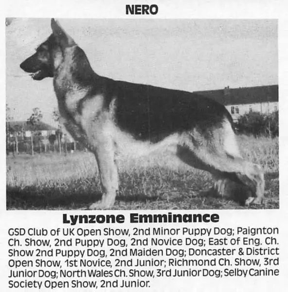 Lynzone Emminance