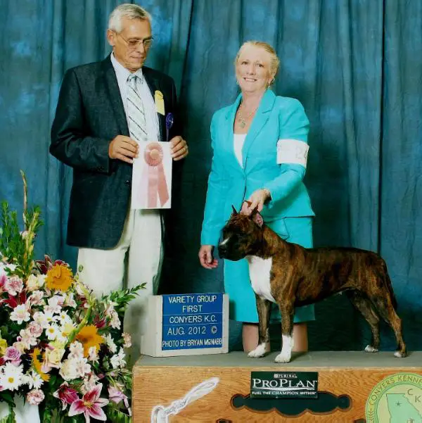 GCH Fraja EC American Express