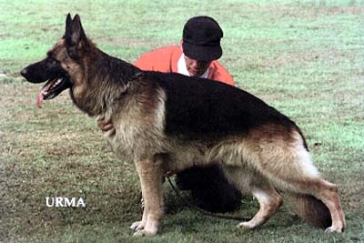 Holk du Grand Revoyet