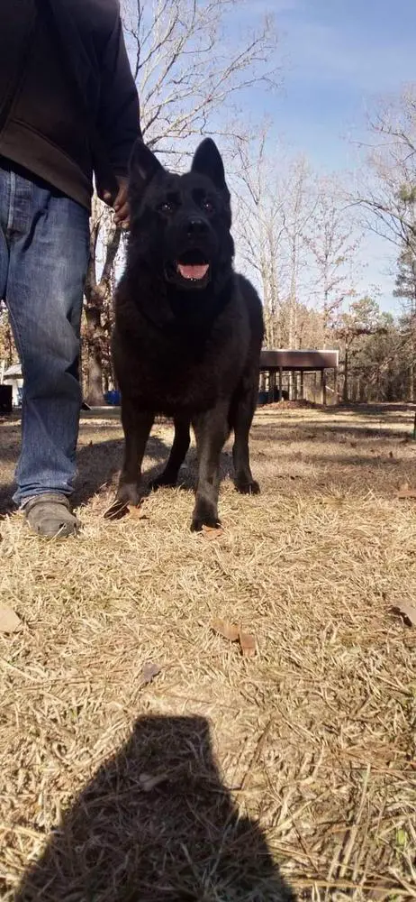 Wotan Yakai von Fernheim