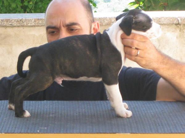 Titankennel Rudolf Hess