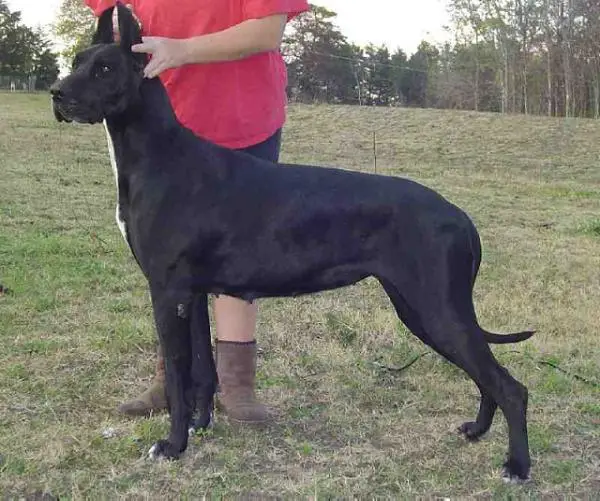 Tyners That Lov'n Feeling