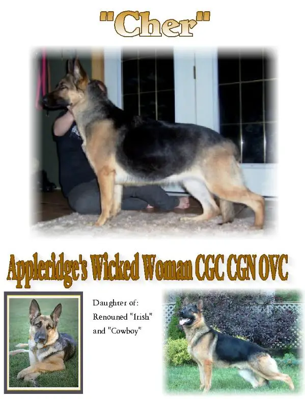 Appleridge's Wicked Woman