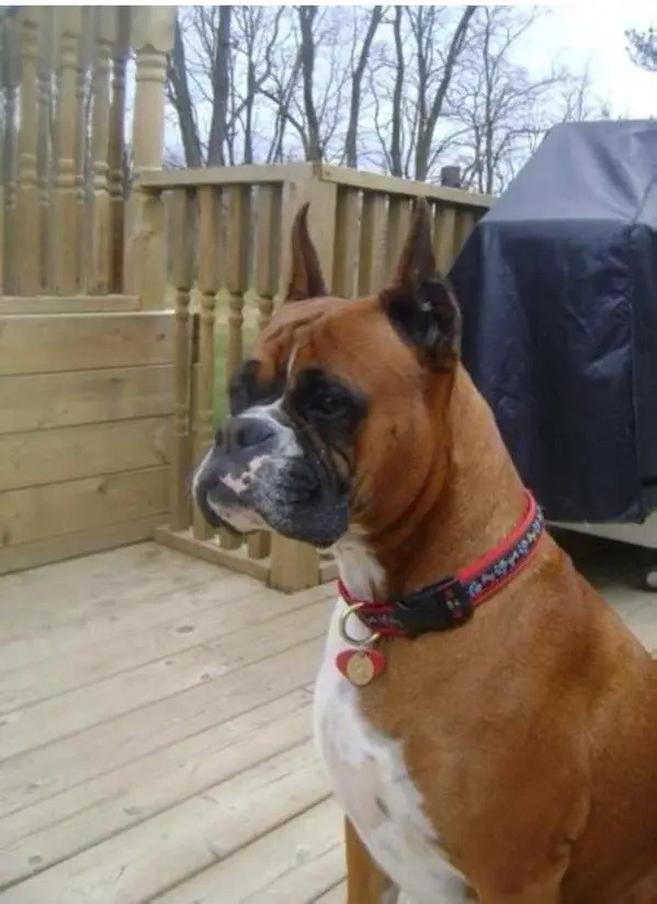 Emily Biancale (USA)