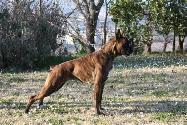 Aria dell'Espinosolo