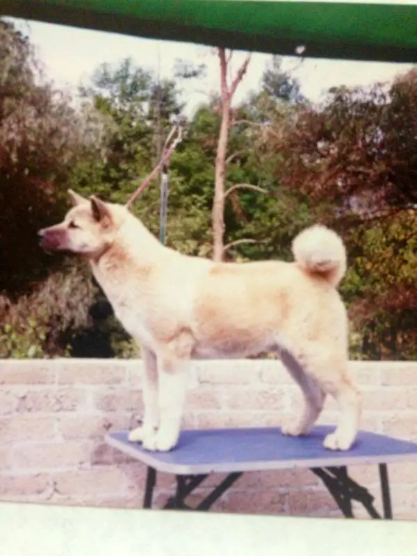 MEX CH Leviatan (Arriaga)