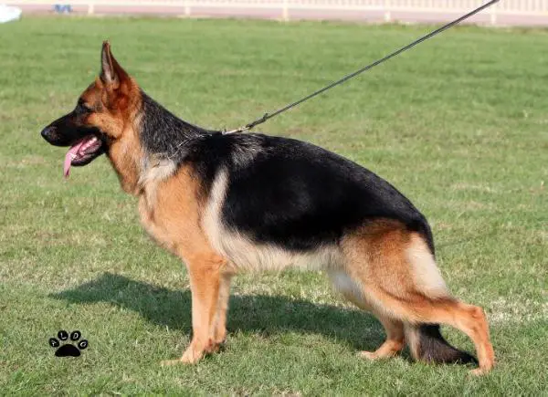 V(ITA) Uska dell'Alto Piano