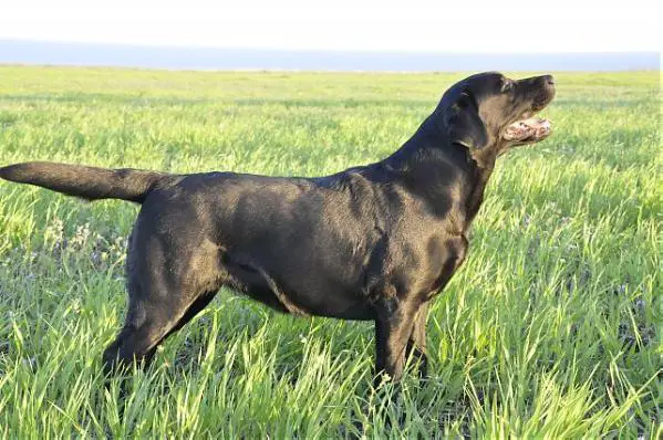 Night Single Cinema Star