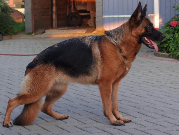 Cathy Vom Die besten