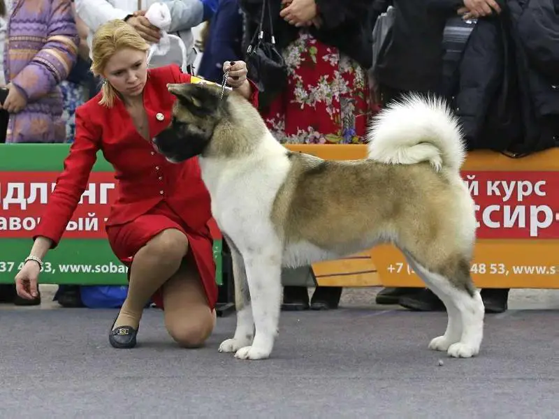 Amfashion Winning Ticket