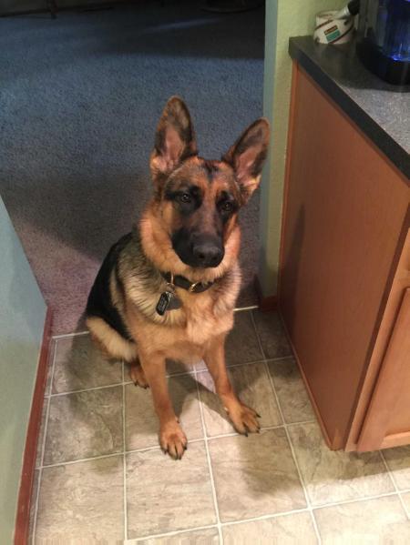 Ramona v. Klausener Grund