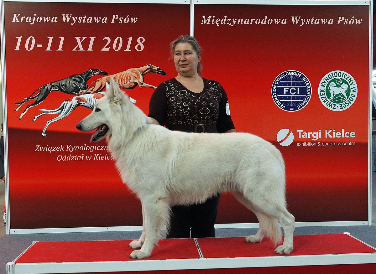 C.I.B,CH:PL,LT,LV,EE,SK,RO,H,BG,GRAND:PL,SK,BG,BALTIK CH. WHITE SILVER Jagodowe Bory