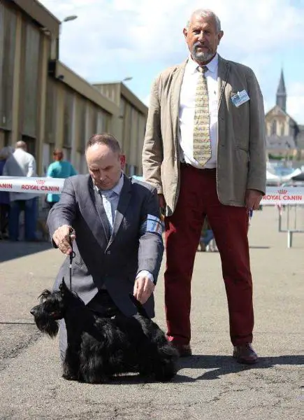 FR CH Jr, CLUB CH 2016, National French dogshows Champion GATERIN Excuse Me