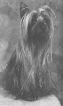 Coolaroo Dame Wintiki