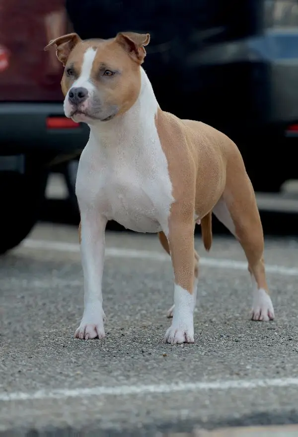 Multi Ch. True Colors From Nature's Finest