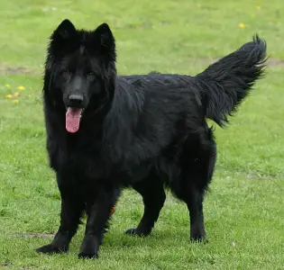 Kassandra Medusa vom Altdeutschen Eck