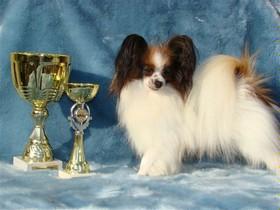 CH,CAC Caspian's X-FILES