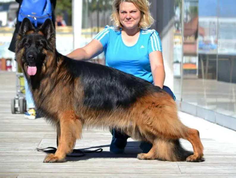 Omen vom Safari Land