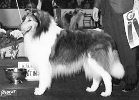 Impromptu Burnt Norton