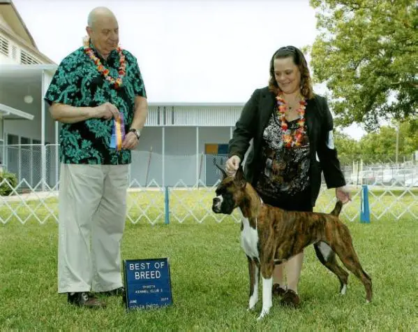 UKC GRCH, UCI CH Vendetta N Altitude Beam Me Up Scottie