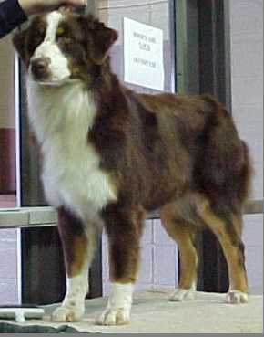 Mi-T's D-Livering the Standard