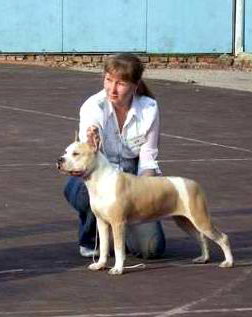 CH RUS, JCH RUS Irgen Gold Casa Nostra