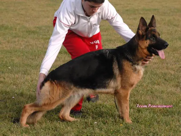 Estina vom Team Panoniansee