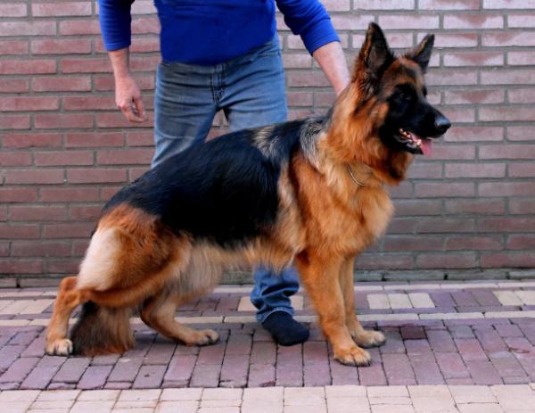 SG1 Fata Degli Achei