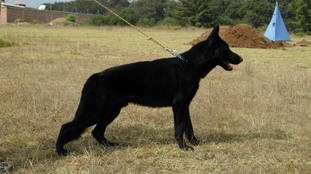 Dereck de Quinta de lobos