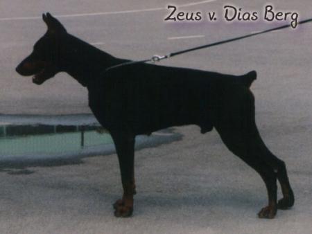 Zeus v. Dias Berg