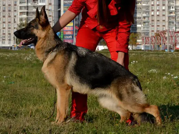 Rivyera Wetendzab