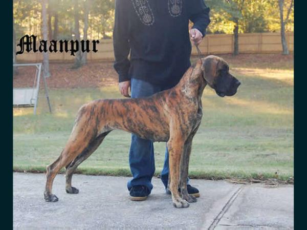 Bienvenue des Terres de la Rairie