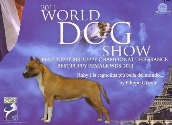 Lobotown Rowdytown Willynwood Tosca