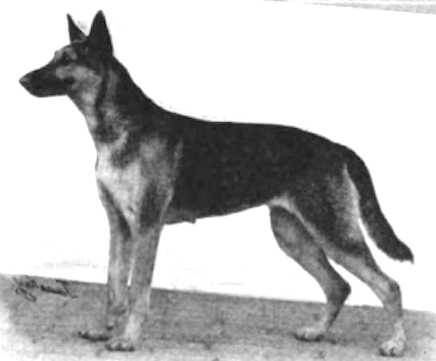 CH (INT) Debora von Weimar [Joselle's]