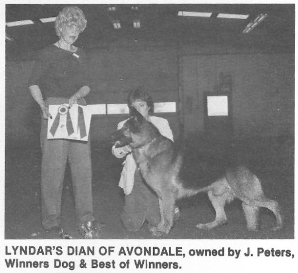 CH (US) Lyndar's Dian of Avondale