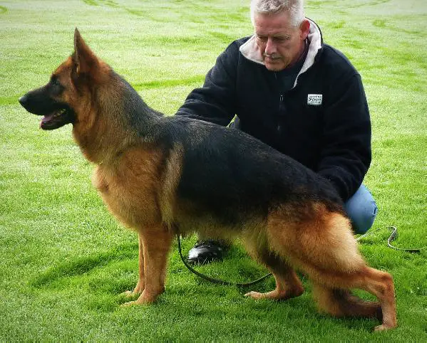 SG 9 JHKL BSZS 2014 Folie della Valle dei Rovi