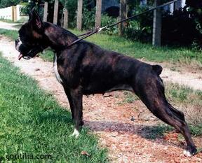 Bora del Colle dell'Infinito