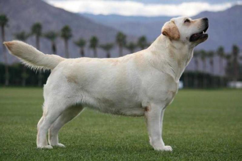 AM CH Maritime Forecast Matilde