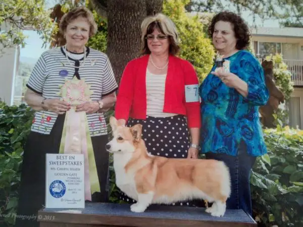 CH Kistha Haus Kiss to Build a Dream On