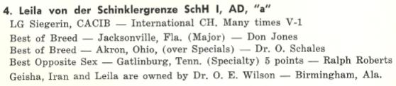 V1 CACIB CH (INT) Leila von der Schinklergrenze