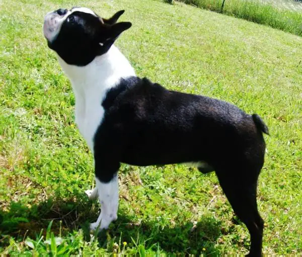 Mtnviews Destiny at Ever Single